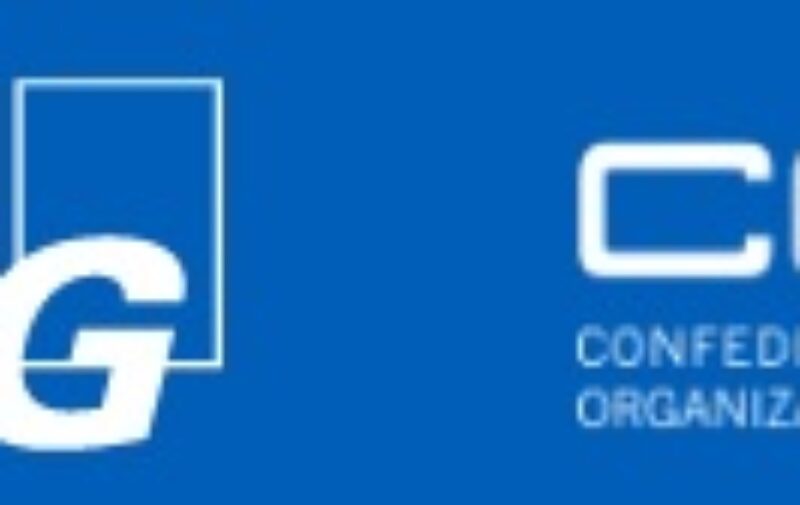 KPMG CEOE