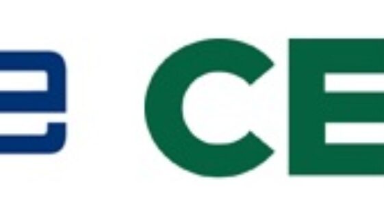 ceoe cepyme