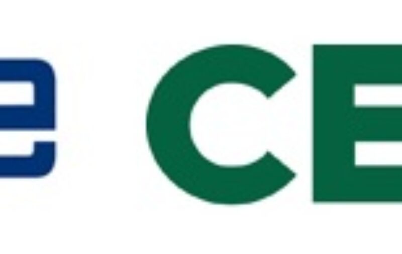 ceoe cepyme