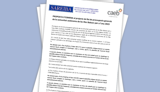 SAREIBA Enmienda