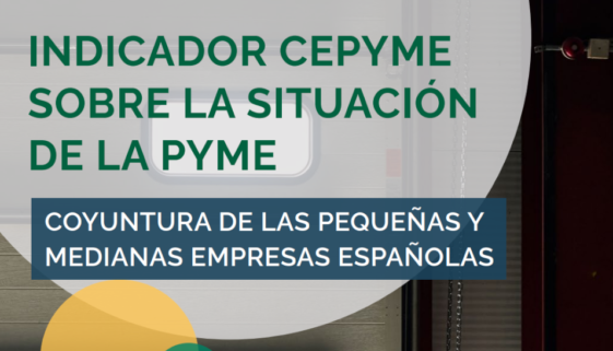 informe_pyme