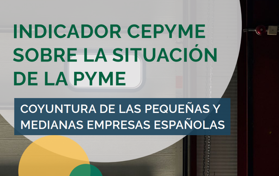 informe_pyme