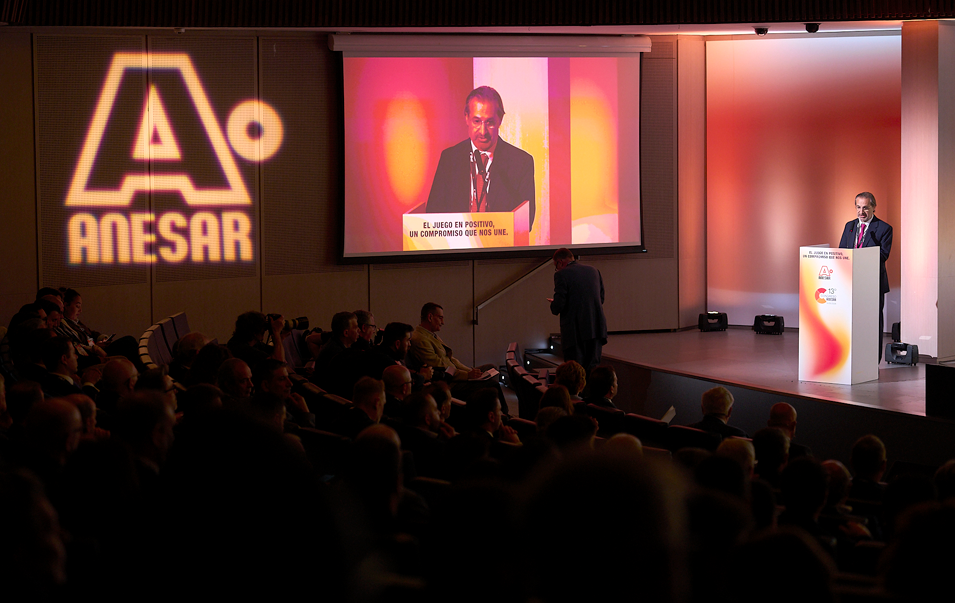 13 Congreso ANESAR