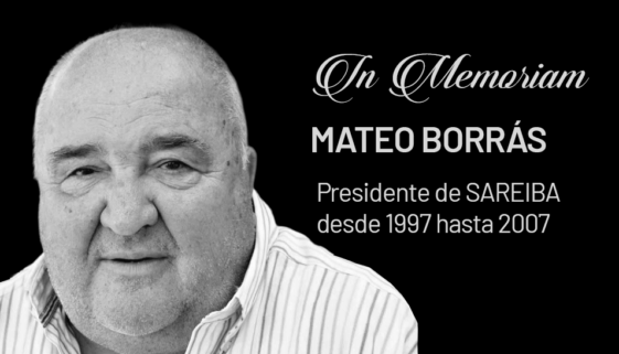 in memoriam Mateu Borras